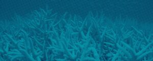 Hot-Waters_Header