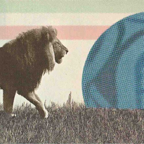 تیم ملی، بازنده‌ی میدان همبستگی